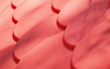 Ellon plastic roof costs